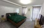 Inchiriez apartament la casa pe perioada scurta chiar zilnic in Livada jud.Arad in regim hotelier - 2
