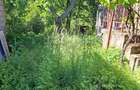 Casa cu 2 camere, bucatarie, baie in zona Aquapark Nymphaea - 5