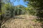 Teren extravilan de vanzare, 3.5 ha padure + pasune in Comun - 3