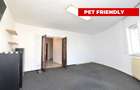 INCHIRIERE APARTAMENT 3 CAMERE UNIRII – CORNELIU COPOSU - PET FRIENDLY - 16