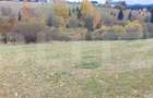 Teren intravilan, 4000 mp, zona Panaci - Vatra Dornei