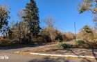 Teren 19.470 mp, investitie ideala, Green City -1 Decembrie, Ilfov
