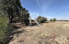 Teren intravilan 5.000 mp de vanzare | Les
