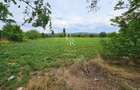 Teren intravilan drept 12.432mp, drum asfalt, utilitati, zona Centura