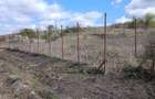 Teren Construcții intravilan de 1131 mp, în Mănăștur - 3