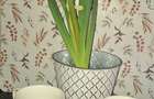 Inchiriez garsoniera in regim hotelier - 3