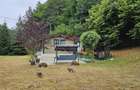 Căsuță de vacanță de vânzare – comuna Alexandru cel Bun, Neamț - 28