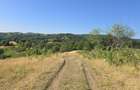 15 Hectare teren la munte ?inutul Padurenilor - 10