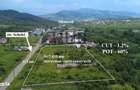Teren intravilan curti constructii in Moinesti/Bacau - de vanzare - 2
