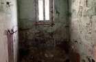 Apartament 2 camere Baia de Aries Jud. Alba - 3