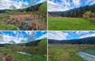 Oportunitate Unica de Investi?ie Domeniu de 2,1 Ha in Bucovina (Suceava) - 3