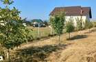 Vand Casa in Berchisesti-SV - 3
