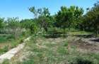 Casa solida, 2 locuri de casa 5132 mp, fs 42 ml, anexe , livada - 1
