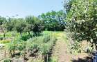 casa in loc Al i Cuza - 5