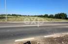 Teren intravilan premium 15.000 mp la DN61 langa Centura G - 8