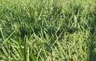 Casă minunata intr-un cadru natural de poveste - 7