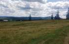 Vand 16 hectare de pasune - 3