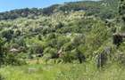 De vanzare: Teren 1000 mp intravilan in Bunesti -  Malureni, Arges