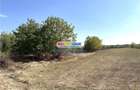 Vanzare teren intravilan Baicoi-zona tarag - 8