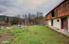 Casa la munte cu teren generos in Com. Nucsoara, loc. Slatina jud. A - 11