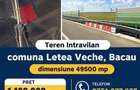 Teren intravilan 49500 mp, Letea Veche, Bacau - 1