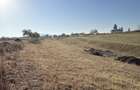 Vand teren intravilan 4000 mp in rontau