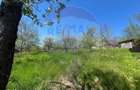 Casa bunicilor, cu gradina, Lera, Buzau! - 18