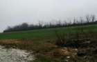 Teren Extravilan Manesti, jud. Prahova - ID: R1979552 - 1