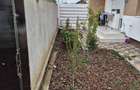 Casa cu 4 camere, curte, mansarda, 2020 - 4