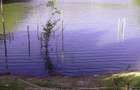 Teren de 5 hectare la Lacul Siriu - 1