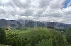 Teren cu fundatie de cabana, intabulat, 1.093 mp Satul Pestera, co