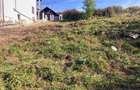 Teren intravilan in Vladesti, sat Priporu - 3