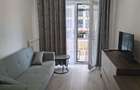 Ap 2 cam,parcare,boxa,mobilat PREMIUM-Silk District - 5