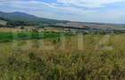 Teren extravilan, de vanzare, 6500 mp, zona Crasnei - 4