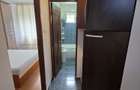 Inchiriere apartament 2 camere - Piata Resita-Ideal activitate profesionala - 17