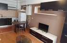 Apartament 2 camere Zamca de inchiriat - 4