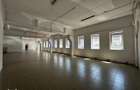 Spatii comerciale birouri Calea Chisinaului Leroy de la 67mp la 500mp - 8