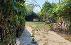 Carcea casa plus 4000mp teren intravilan,pret 98000 euro - 1