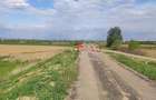 Teren de vanzare - Satu Mare - 4