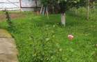 Vand casa + anexe si gradina - 7