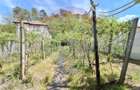 Casa cu panorama superba asupra ora?uluiMedia?, str. Ulmului nr. 13A - 10