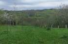 Teren de Vanzare Intravilan - 5