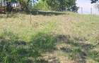 Vand teren intravilan Valcea - 4