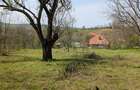 Teren 1500 mp + casa veche | Milesti - Simnicu de Sus - 2