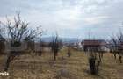 Teren extravilan de vanzare, 900 mp, Bistrita - 5