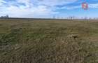Teren intravilan 665 mp cu Puz aprobat - Padureni - 5