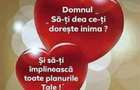 Inchiriez apartament 3 cam plus dependente in Alesd Bihor - 1