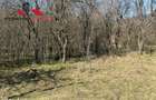 Casa si anexe cu un teren de 7701 mp de vanzare in Stauini Jud Alba - 3