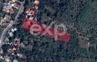 Teren cu Potential Exceptional | 4.300 mp | Zona Exclusiva de Case - 1