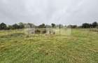 Teren 34 Ari | Marginea | Intravilan - 1